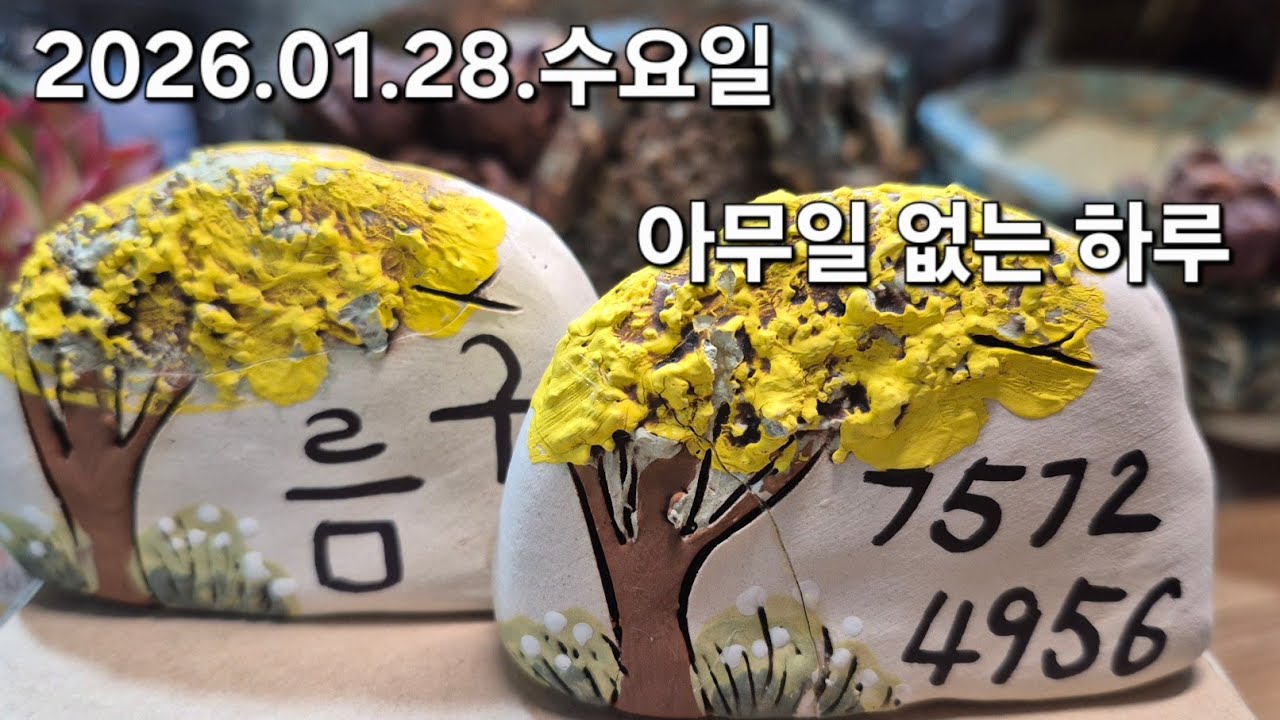 고양 구름다육 라이브 방송