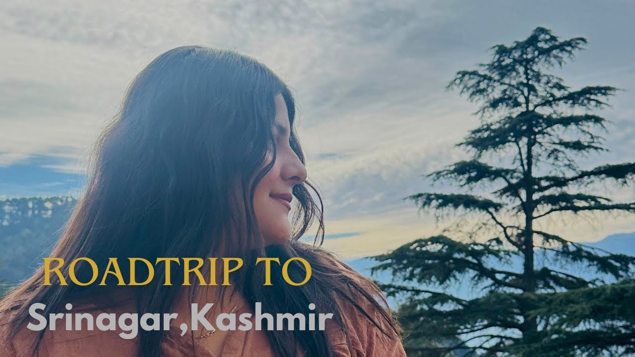 The Most Beautiful Road Trip of My Life – Kashmir 🏔️ #kashmir #srinagar #dallake 