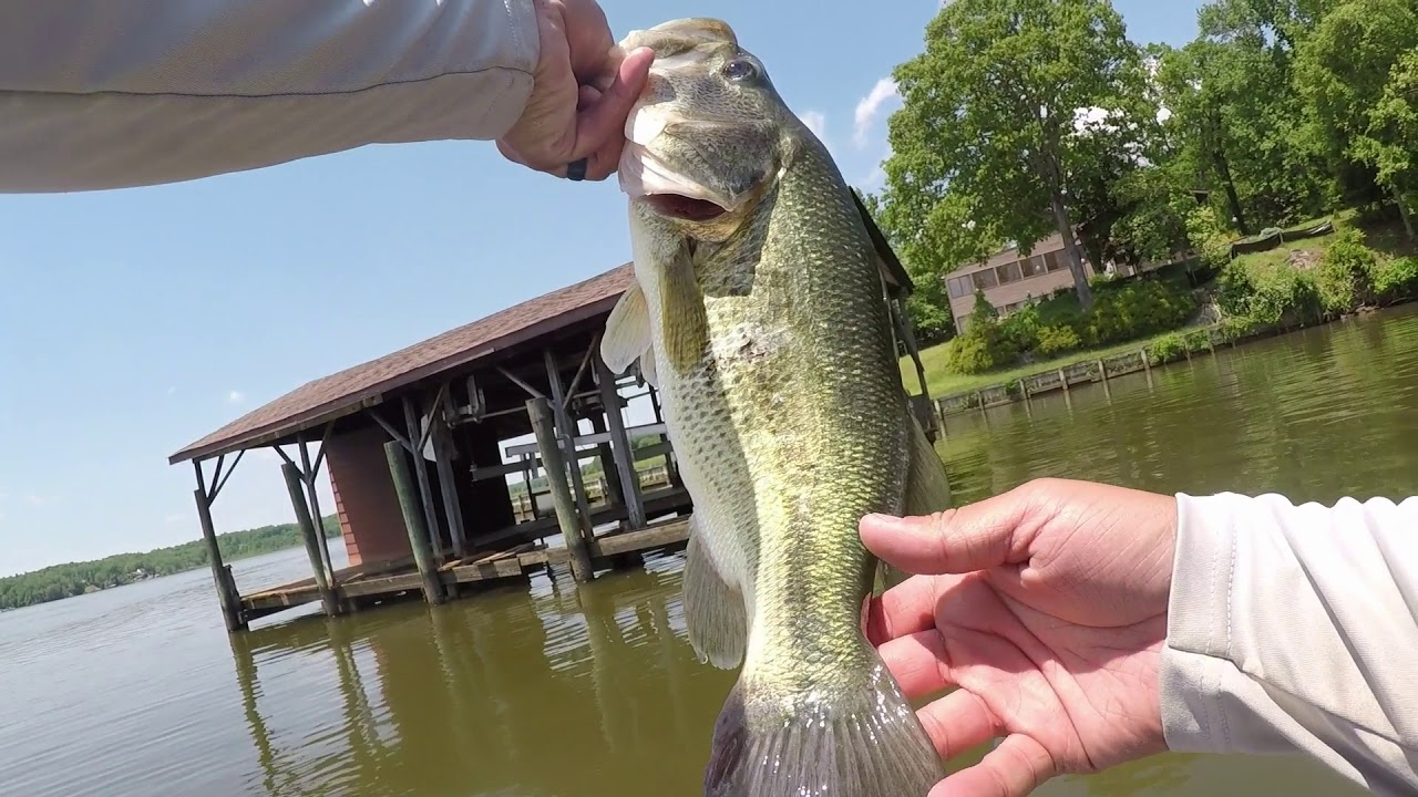 Best Day on Aquia Creek Ever!