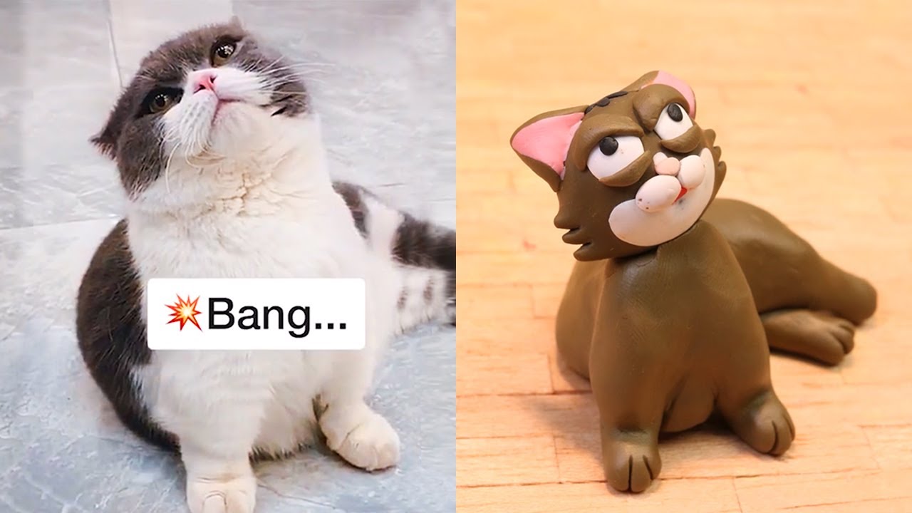 Funniest Animals - Best Of The 2021 Funny Cat Videos - Funny Ginger Parody