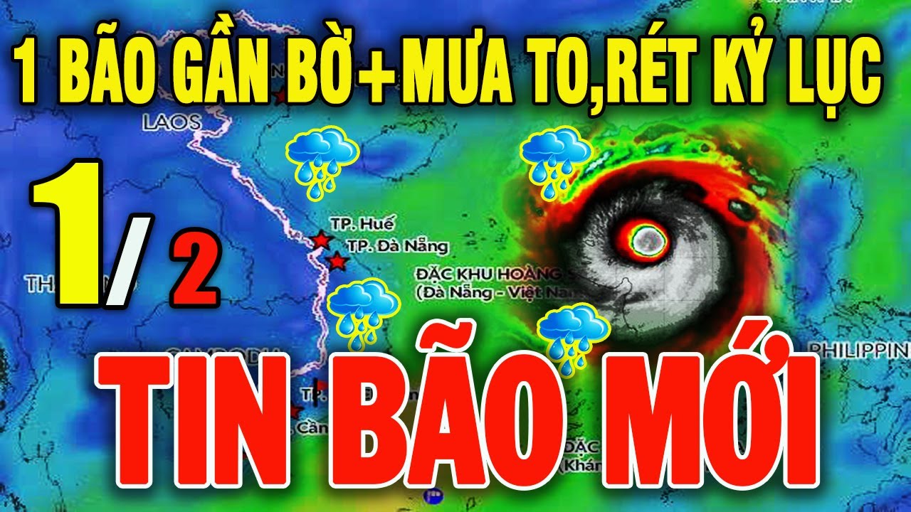 Tin bão Mới Nhất | Dự báo thời tiết hôm nay ngày mai 1/2/2026 | Thời tiết 3 ngày tới #thoitiet