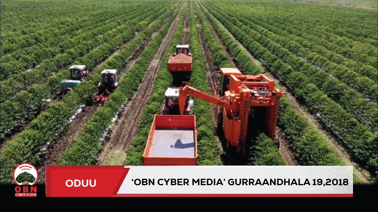 Oduu OBN Cyber  Media Gurraandhala 24,2018