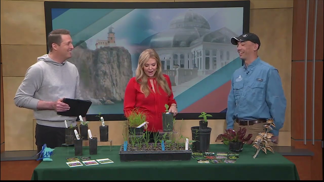 Minnesota native plants