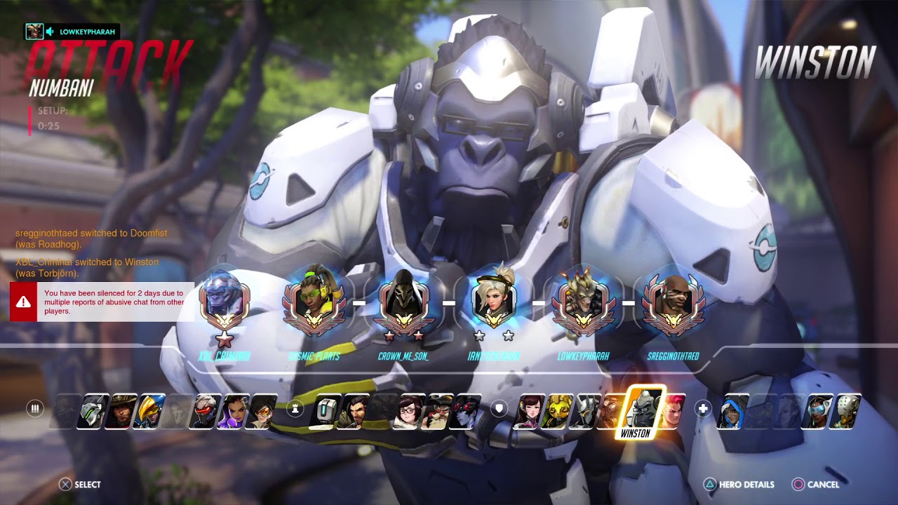 Overwatch: Toxic, Racist, Sexist top 500 smurf PS4