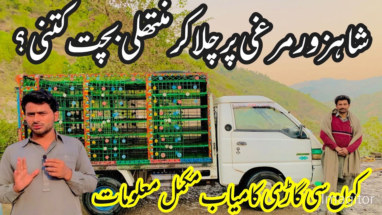 How much does Manthali save by driving Shahzor chicken?