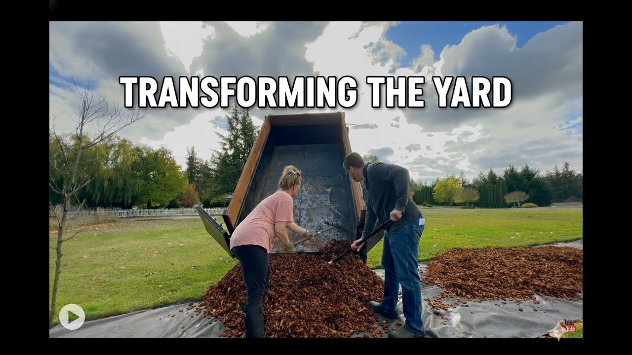 Oct 20, 2025 — Beauty Bark Day (Thanks, Brian!)