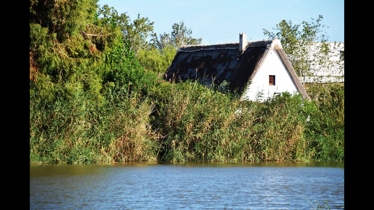 LA ALBUFERA