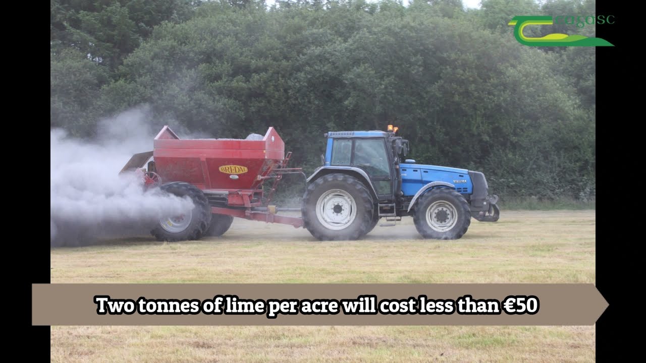 Its Time to Lime with Séamus Nolan