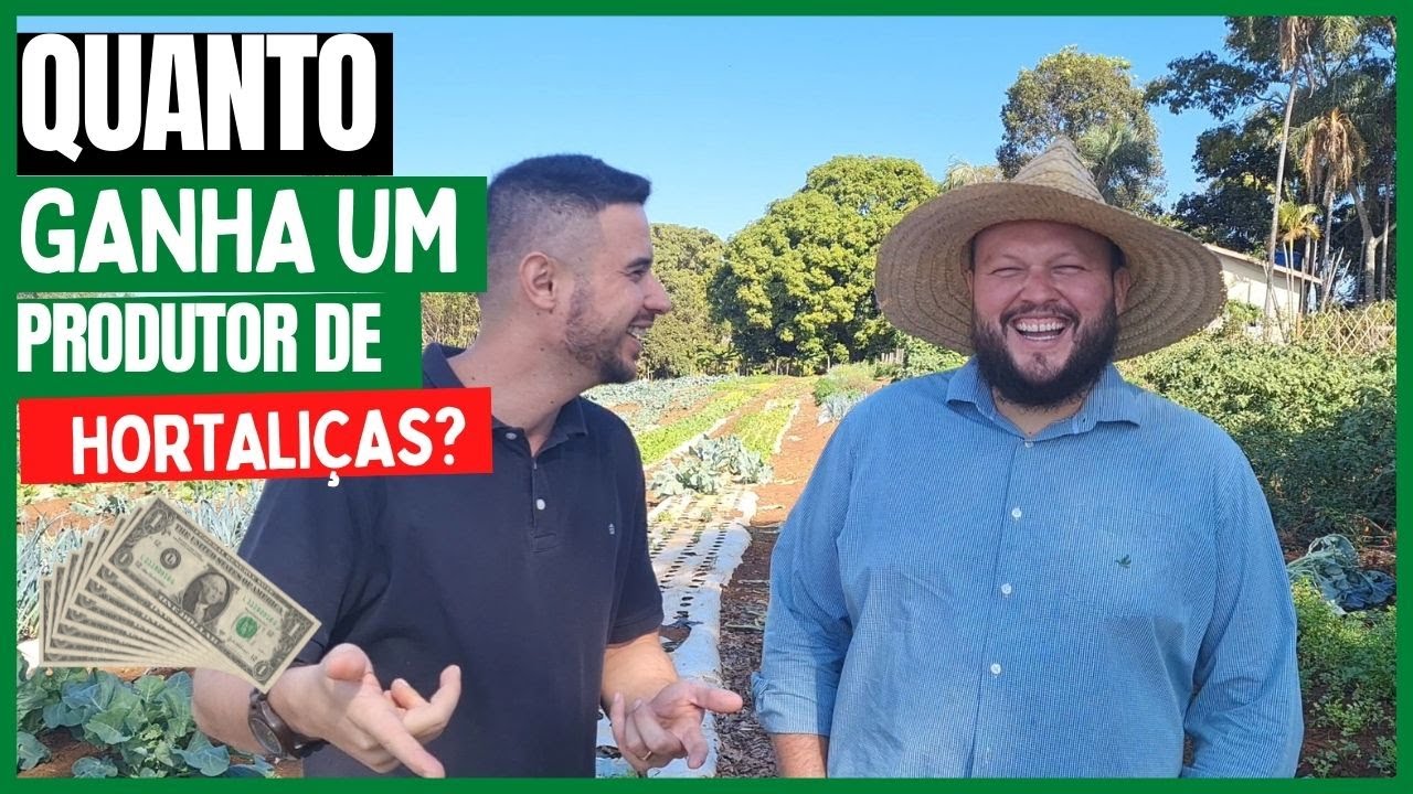 Quanto ganha quem trabalha com hortaliças orgânicas? Rúcula, Coentro, Brócolis, Jiló, Cebola.