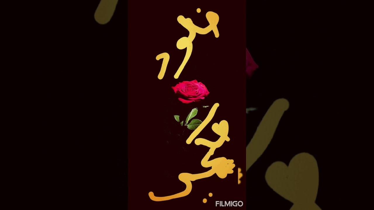 المطربة خلود حكمي  🎵مرة ولا حتى .. 🎵