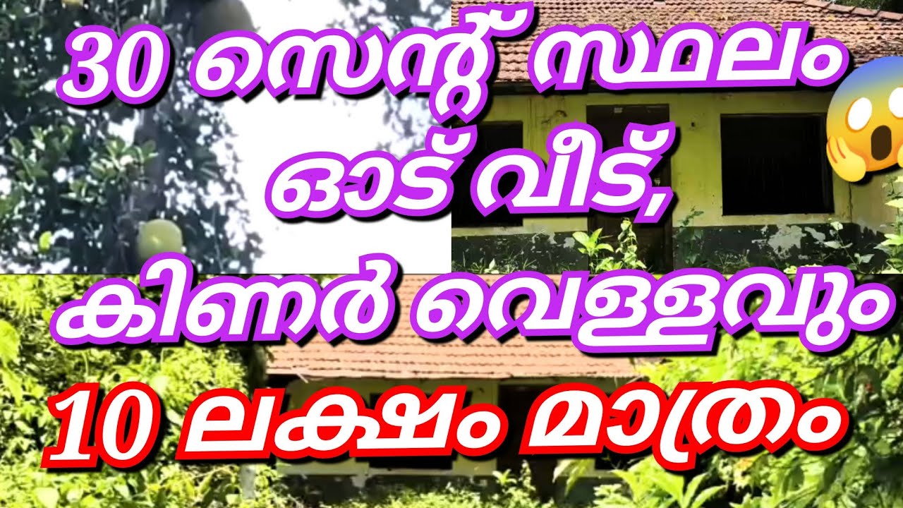 EP:643 |വെറും 10 ലക്ഷം 😱 30 സെന്റ് വീട് കിണർ വെള്ളം ഉൾപ്പെടെ വിലക്കുറവിൽ👌🏼#lowbudget