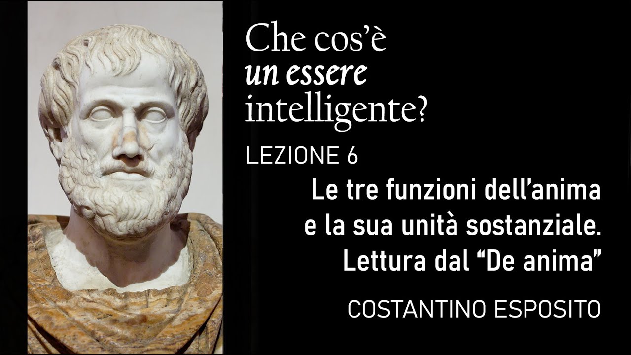 L. 6 - Aristotele/1: Le tre funzioni dell’anima e la sua unità sostanziale. Lettura dal “De anima”