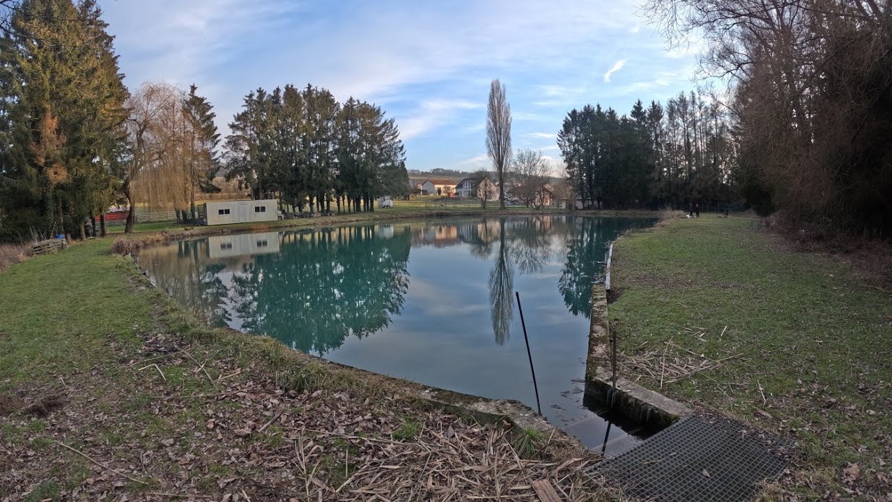 On pêche la CARPE à ce PETIT ÉTANG rempli d’herbiers dans le froid !
