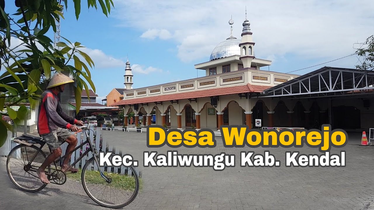 Suasana pedesaan Jawa | Suasana desa Wonorejo Kaliwungu Kendal yg bikin rindu kampung halaman