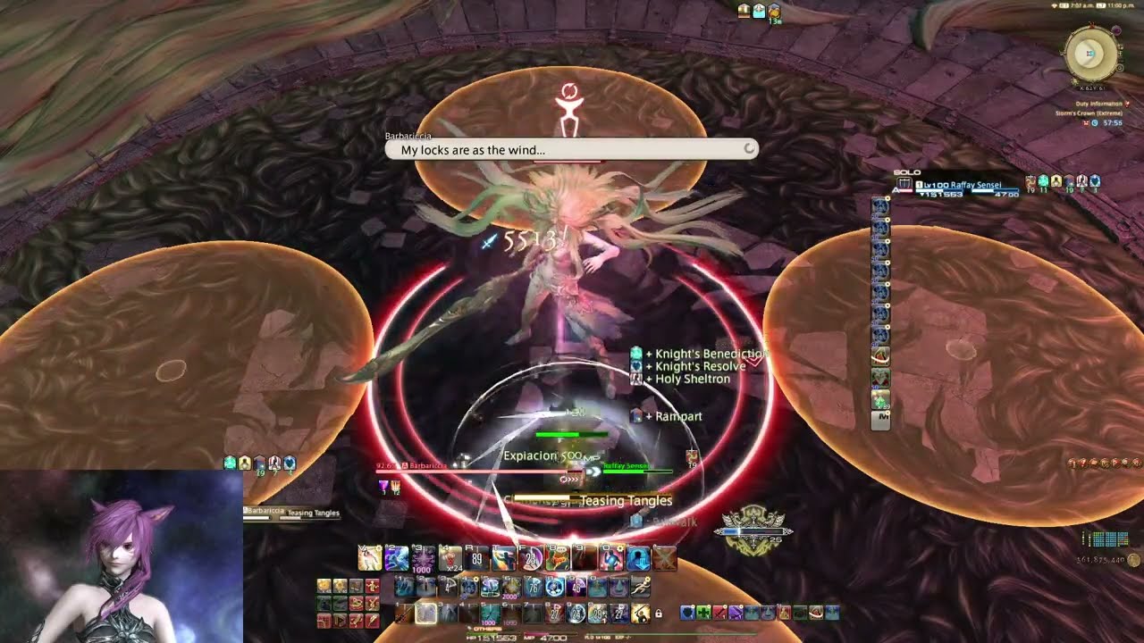 FFXIV- Barbariccia EXTREME solo enrage | PLD POV | Patch 7.25