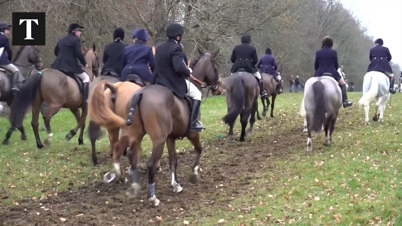 Boxing Day hunts vow to &lsquo;fight&rsquo; trail ban as Starmer warned over rural backlash
