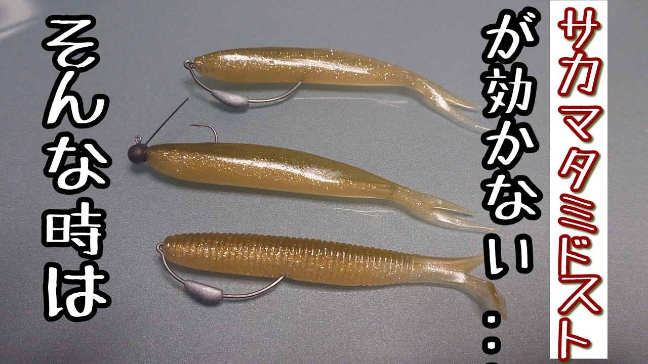 サカマタシャッドのミドストが効かない...そんな時は！【琵琶湖北湖】