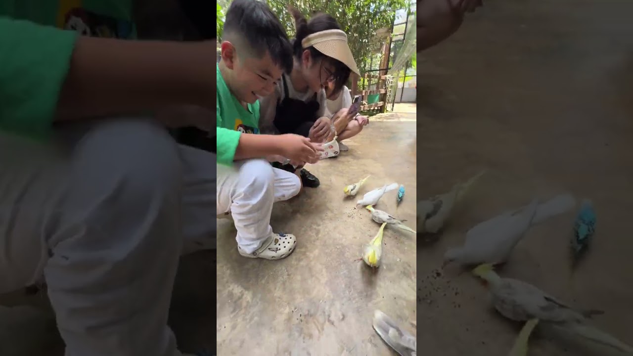 Ep5: Visit the Zoo Coco Farm | Cambodia #Cambodia #travelvlog #zoo 