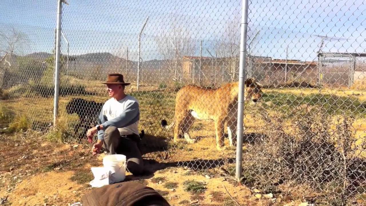 Out of Africa WildLife