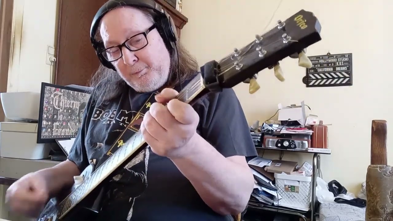 George Harrison - What Is Life (Rhythm Guitar Cover)