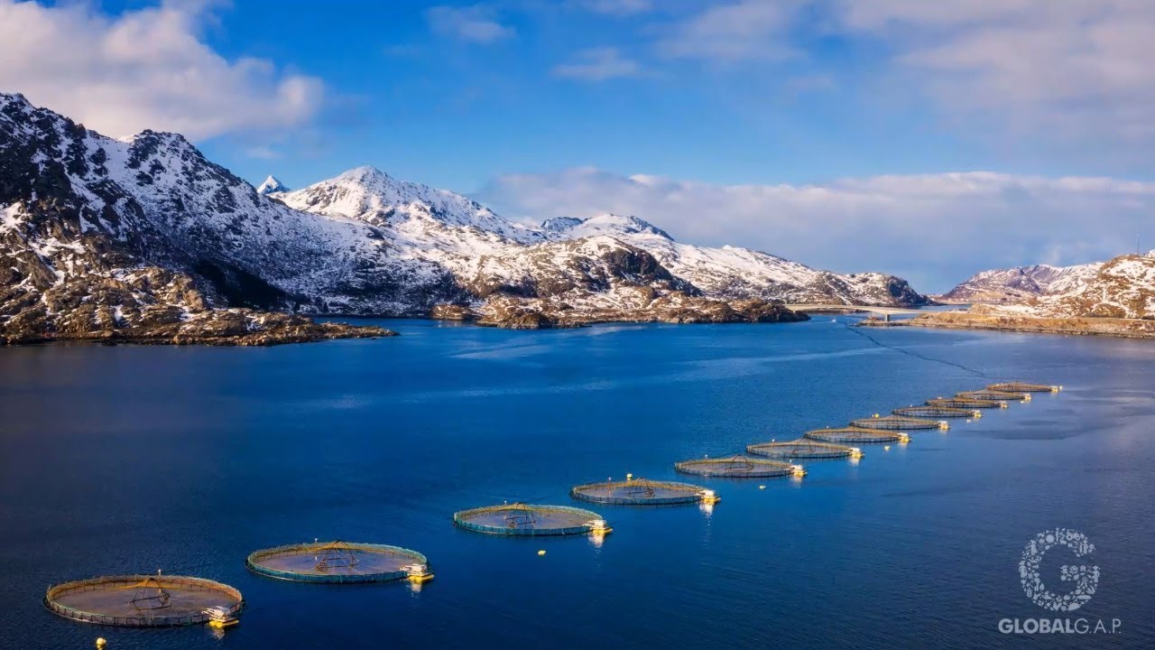GLOBALG.A.P. Aquaculture Certification