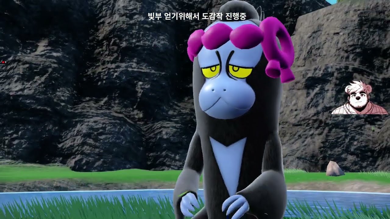 세벗 배틀 시작!  DLC 제로의 비보 - 벽록의 가면 E4 오거폰 덤벼! {포켓몬스터스칼렛・바이올렛}