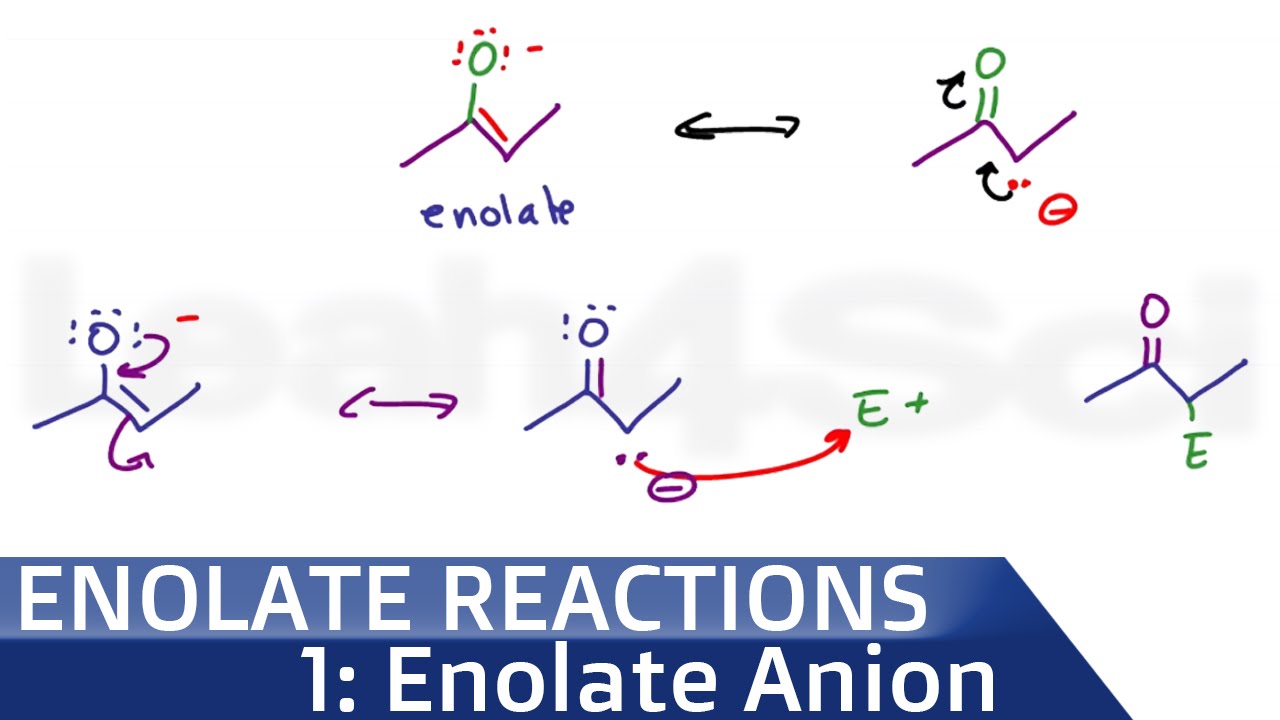 Enolate Ion Formation and Stability of Alpha Acidic Hydrogen