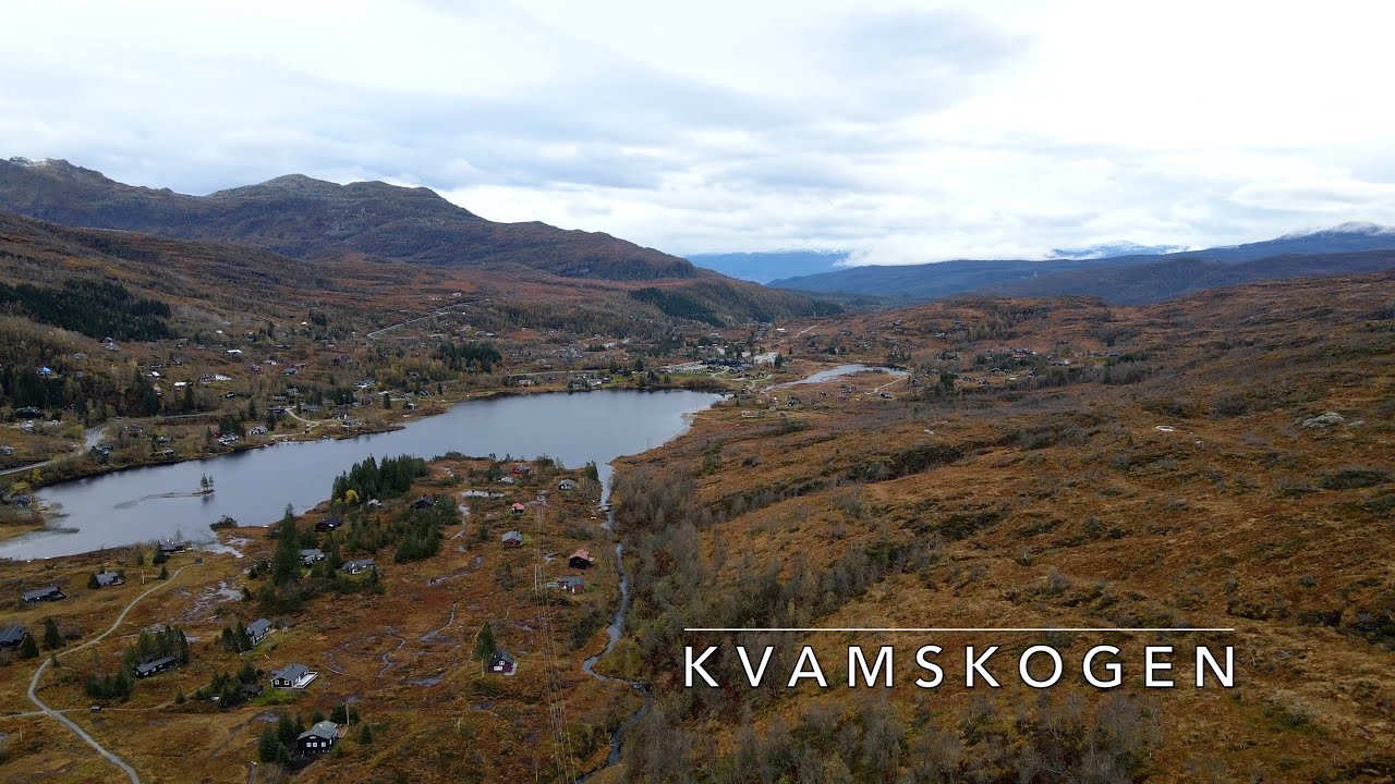NORWAY, Kvamskogen By Drone (4K)
