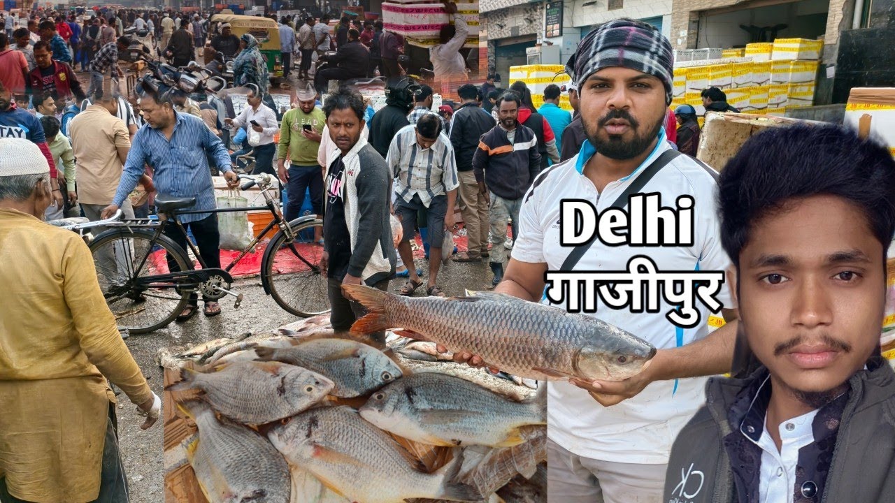 Gazipur fish market 2026 🐟