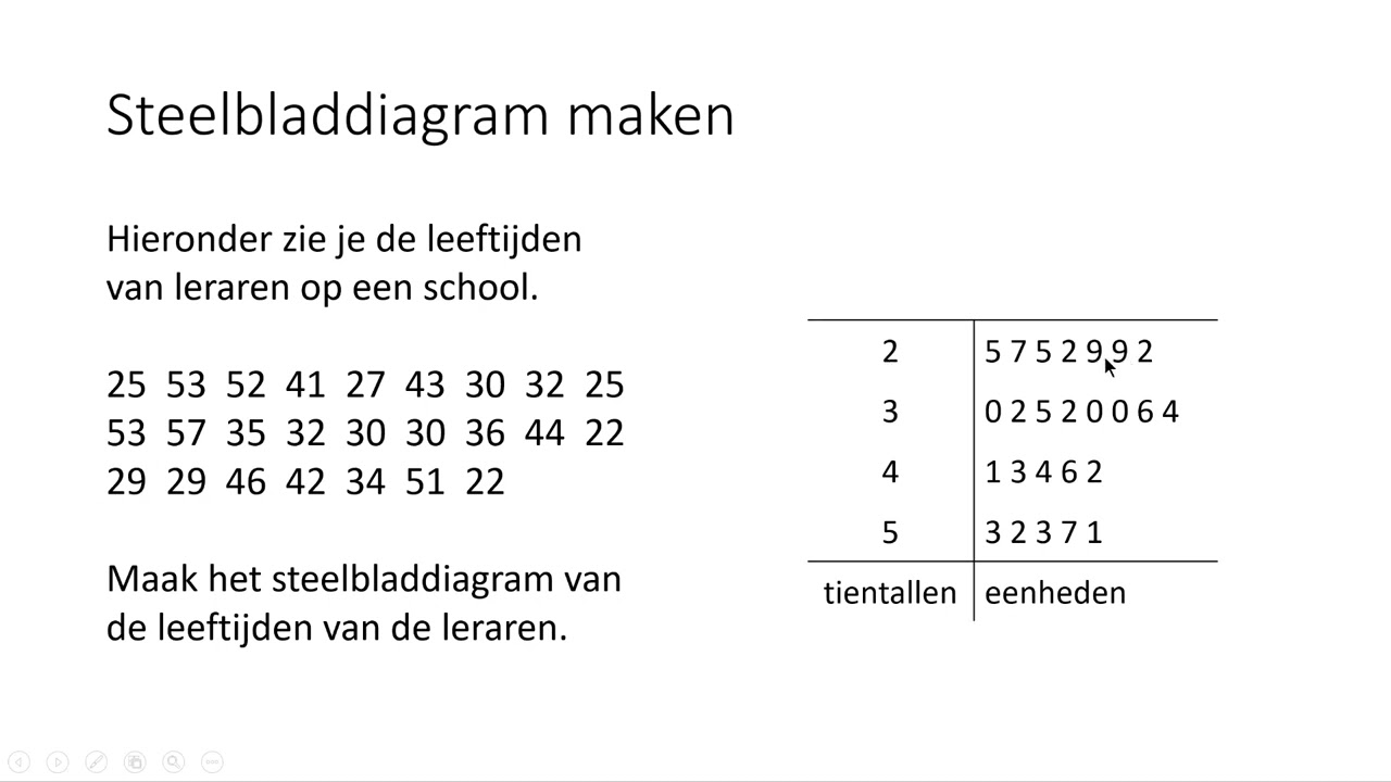Steelbladdiagram maken (4 VMBO-KGT)