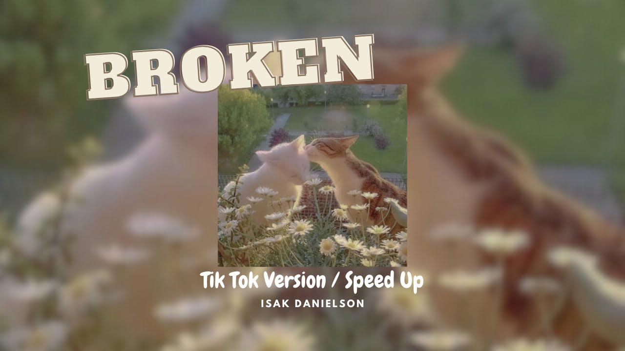 Isak Danielson - Broken (Lyrics / Sped up / TikTok version)
