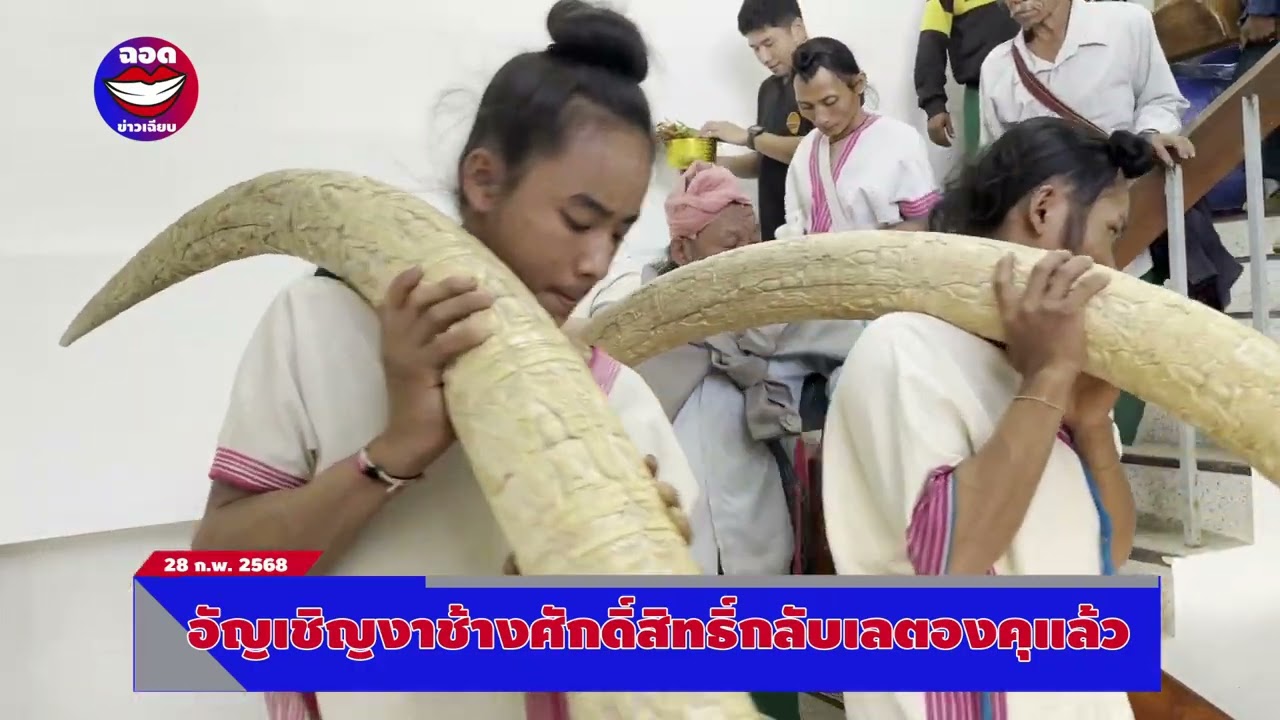 งาช้างศักดิ์สิทธิ์กลับคืนสู่หมู่บ้านเลตองคุแล้ว