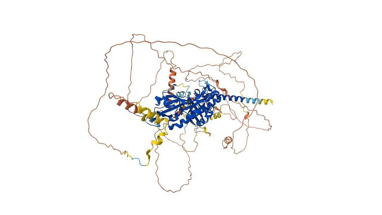 Protein Model Quality - Part 1: Exploring AlphaFold's pLDDT scores in 2D and 3D views in Jalview