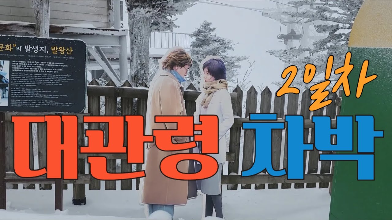 대관령 차박 2일차/발왕산 천년주목 과 설경 그리고 기다리던 함박눈을 맞으며  평창군 유둥 둔치 에서 하룻밤을~