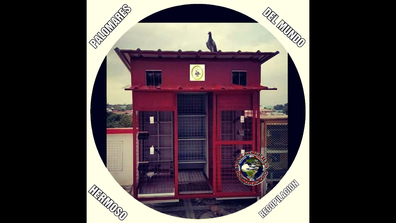 Palomares Del Mundo