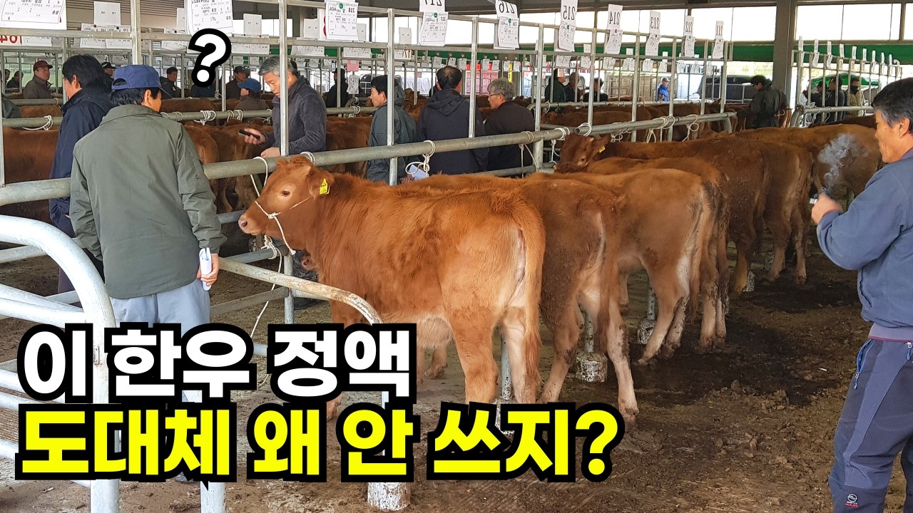 경쟁률 낮은데 돈 되는 KPN, 번식·비육별 5개씩 공개합니다