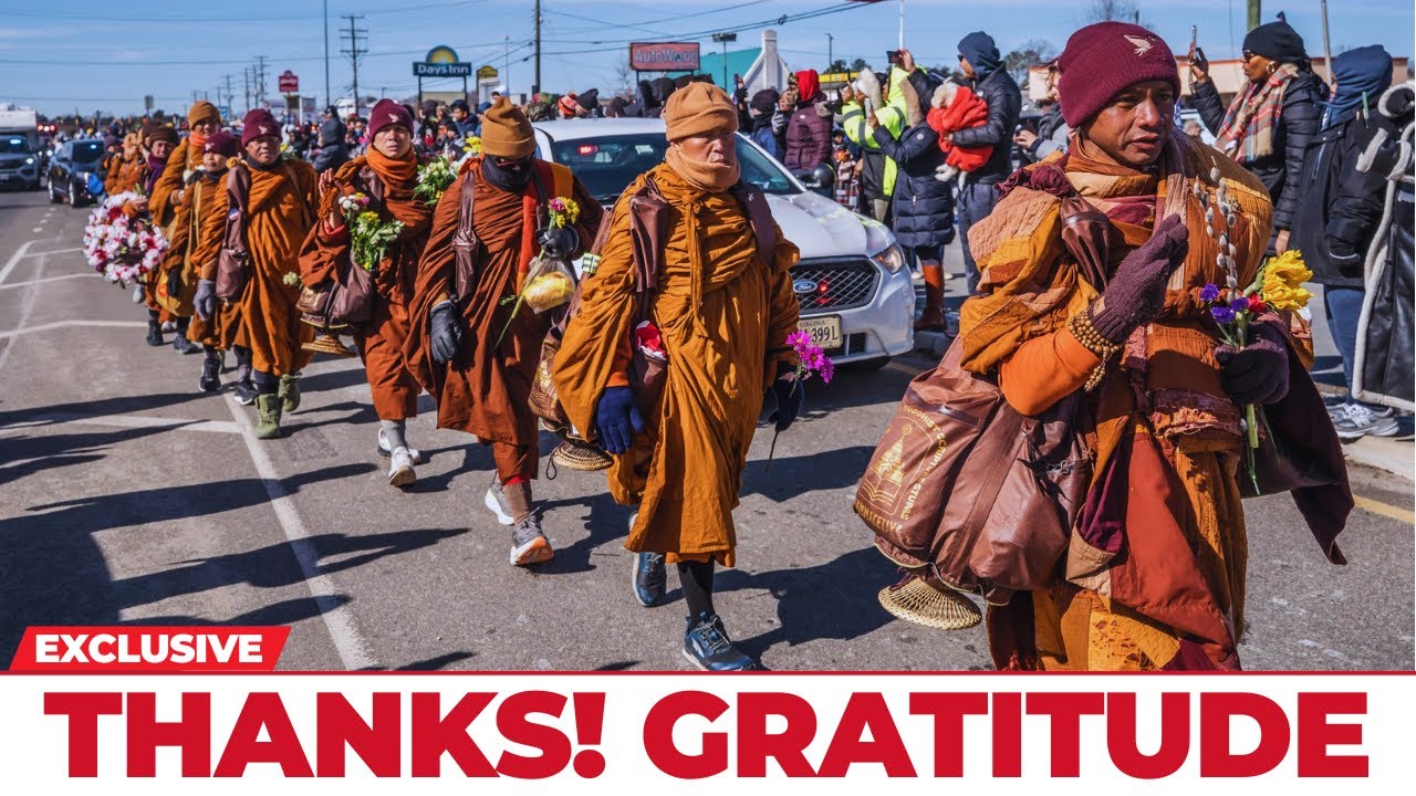 Gratitude, One Step at a Time on This Quiet Journey
