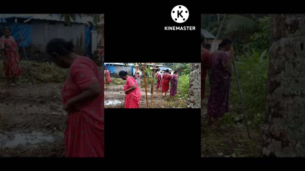 MGNREGS VADAKKEKARA GP, JSA WORK, LD/414368