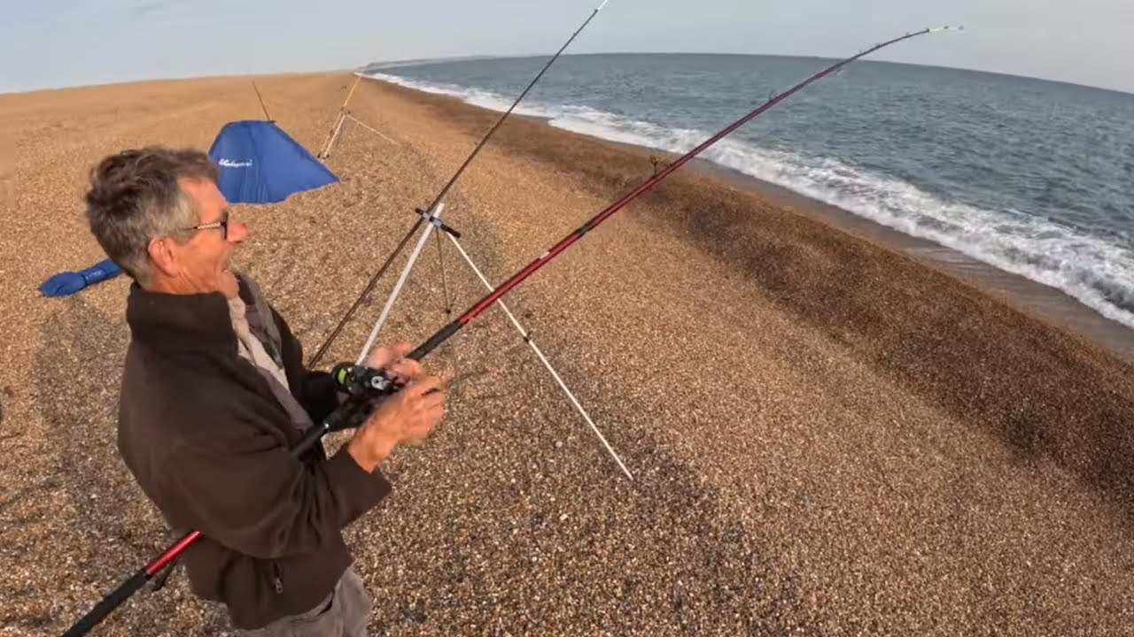 Chesil Beach Overnight Session 🔥🔥🔥 Seven Species Abbotsbury. Sea Fishing The UK Shore.