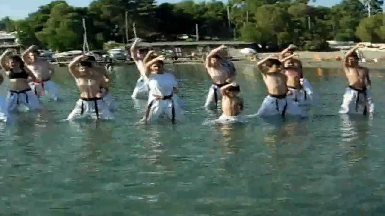 Hellenic-Japanese Karate Academy 