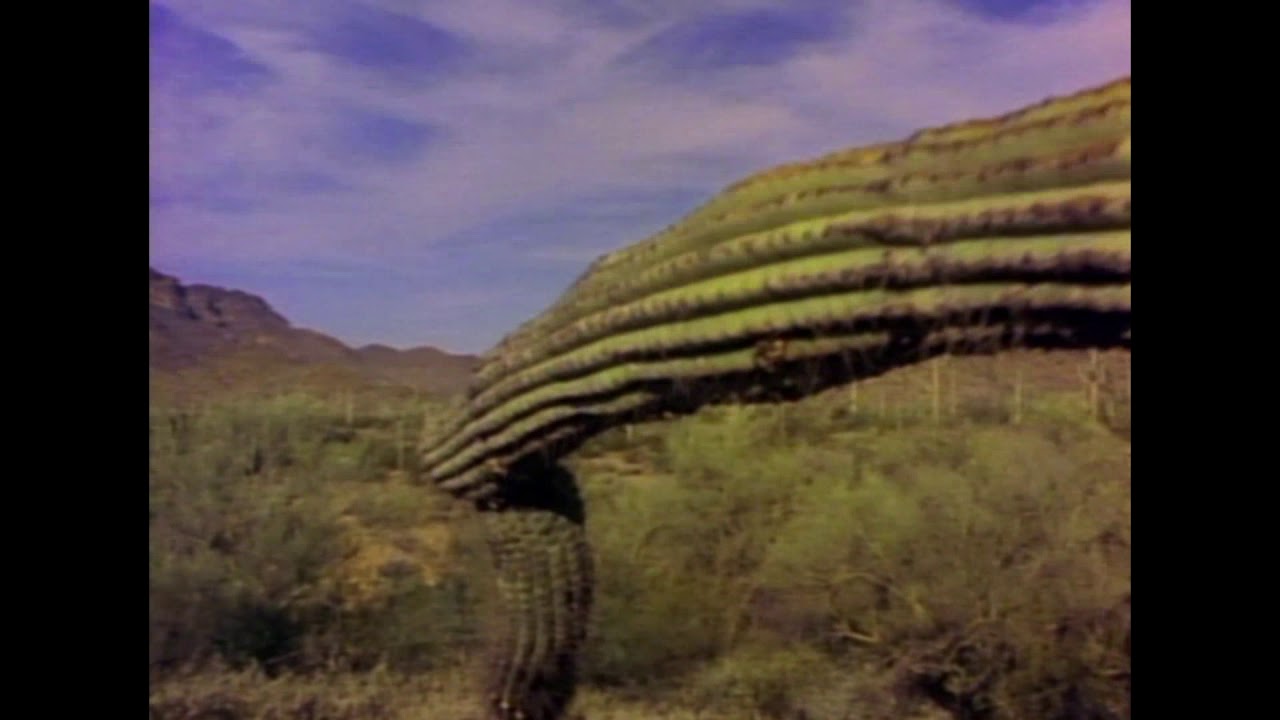 Saguaro   David Lanz and Paul Speer
