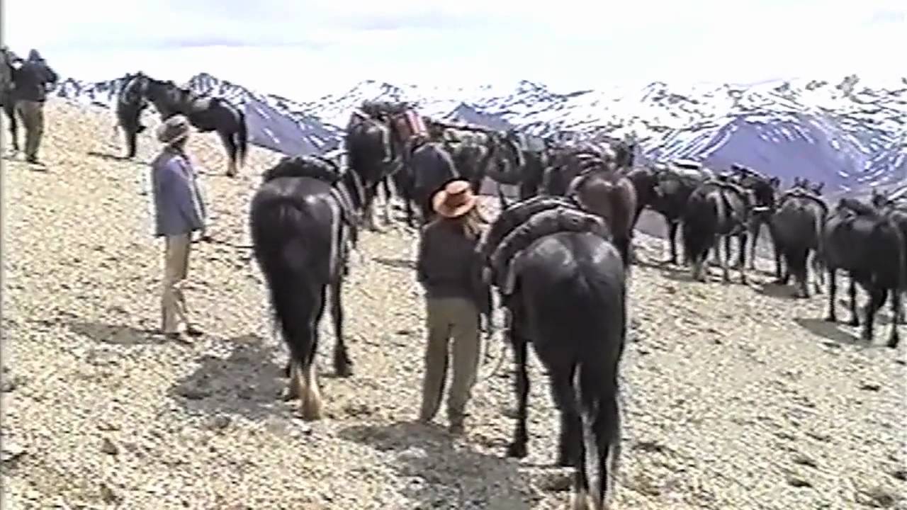 ALPINE HORSE SAFARI / NEW ZEALAND