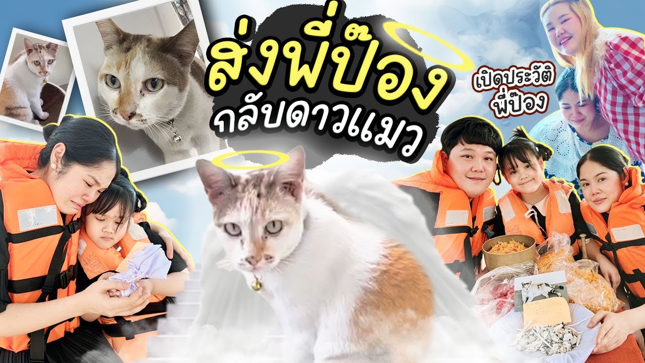 คลิปนี้เพื่อป๊อง! ถึงเวลาส่งพี่ป๊องกลับดาวแมวแล้ว | BB Memory