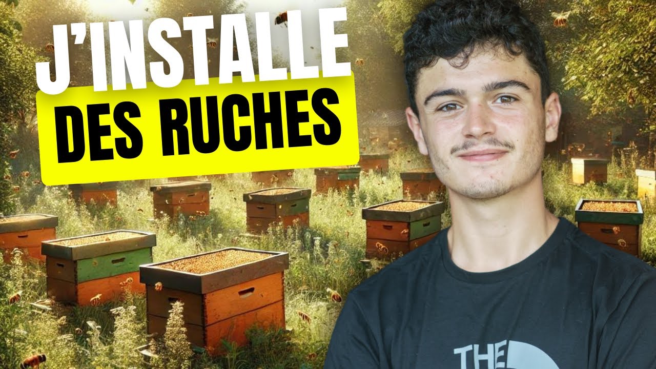 UNE JOURNÉE AVEC UN APICULTEUR
