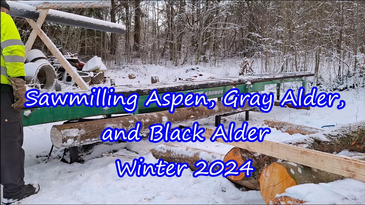 Sawing Aspen, Grey Alder, and Black Alder, Winter 2024