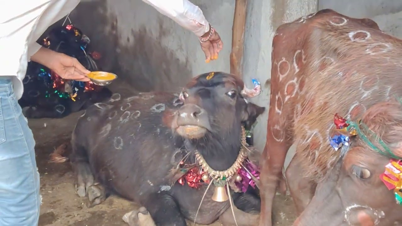 लक्ष्मी पूजन
