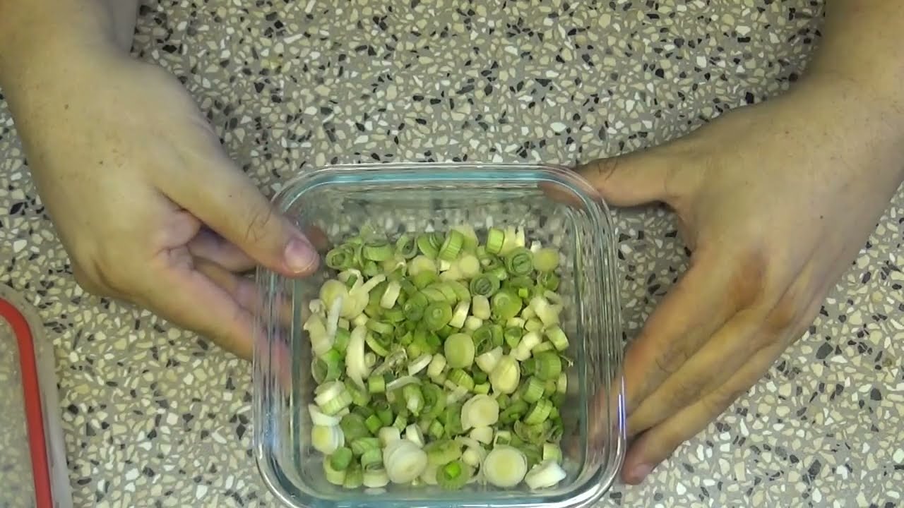 Frühlingszwiebel einfrieren (Update)