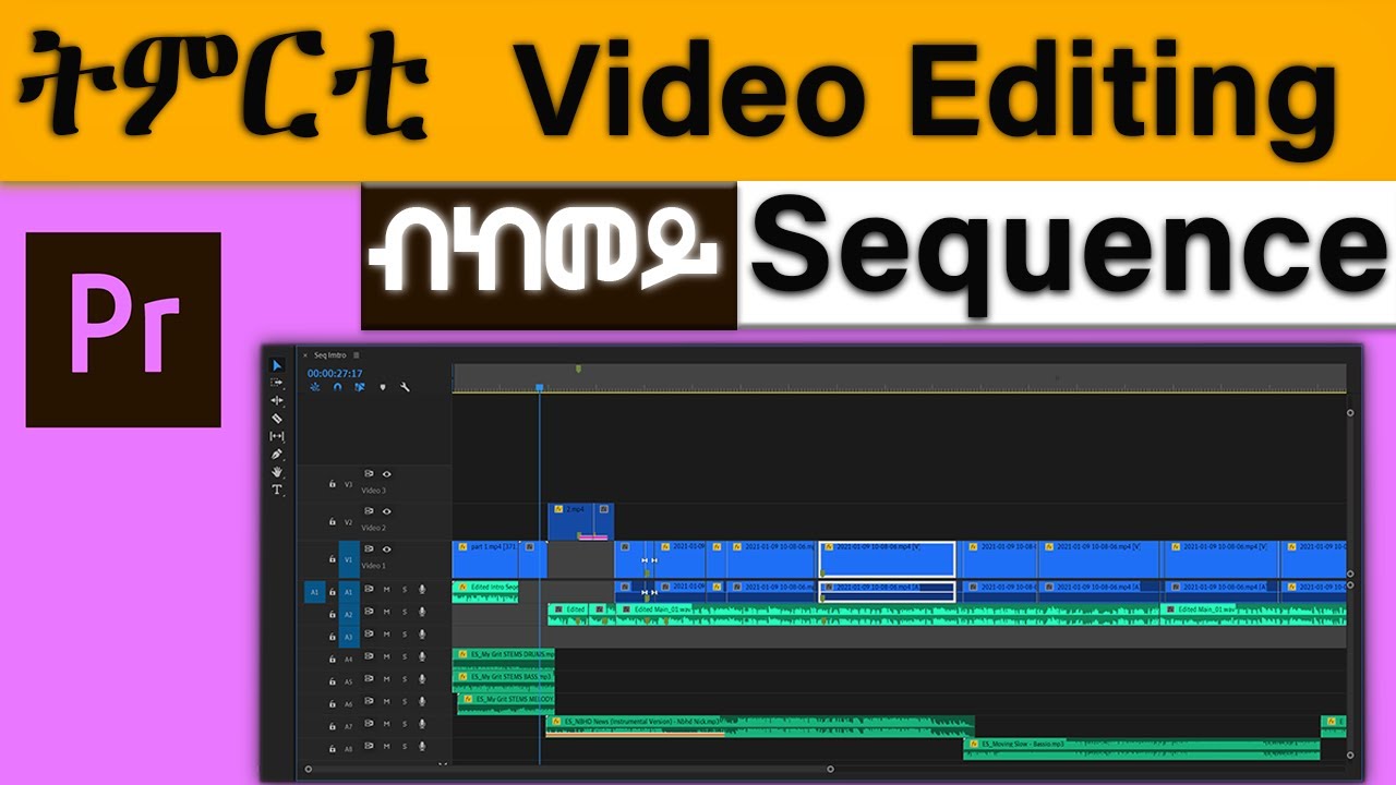 ትምርቲ Video Editing Sequence ኣሰራርሓ I Part 2 I