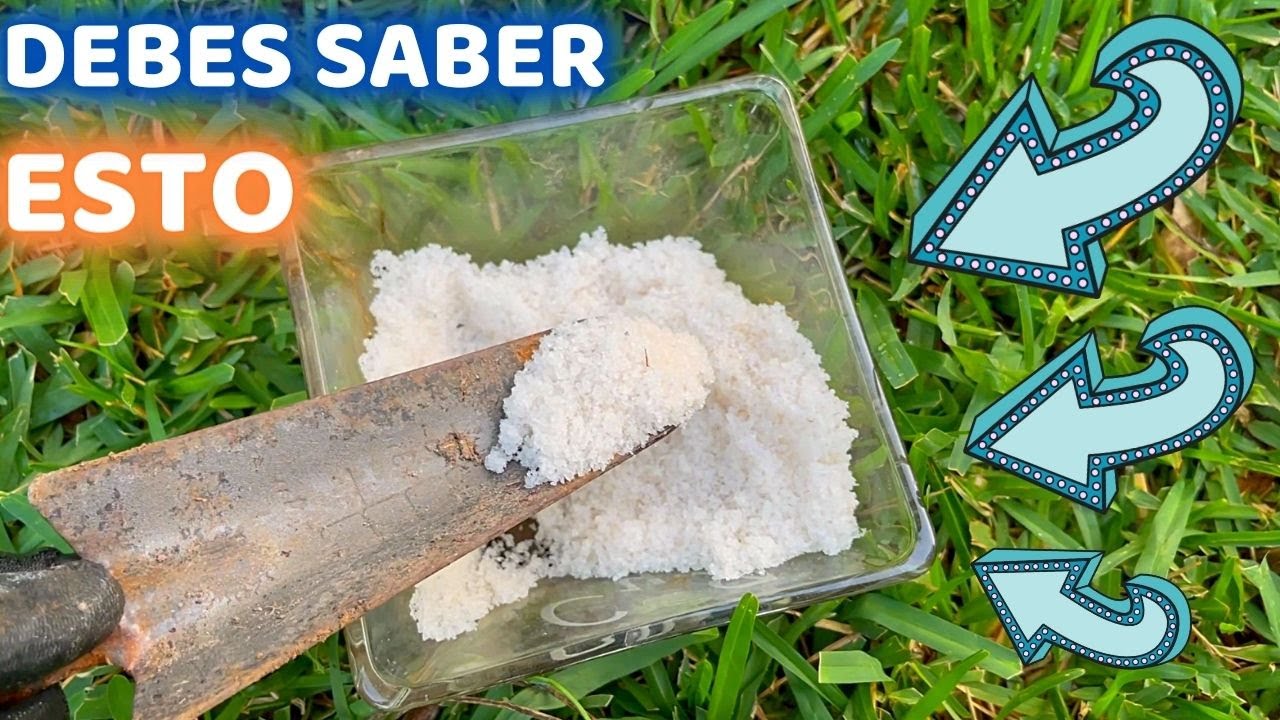 SABER ESTO HARA CRECER MAS RAPIDO A TUS PLANTAS || HUERTO CITADINO