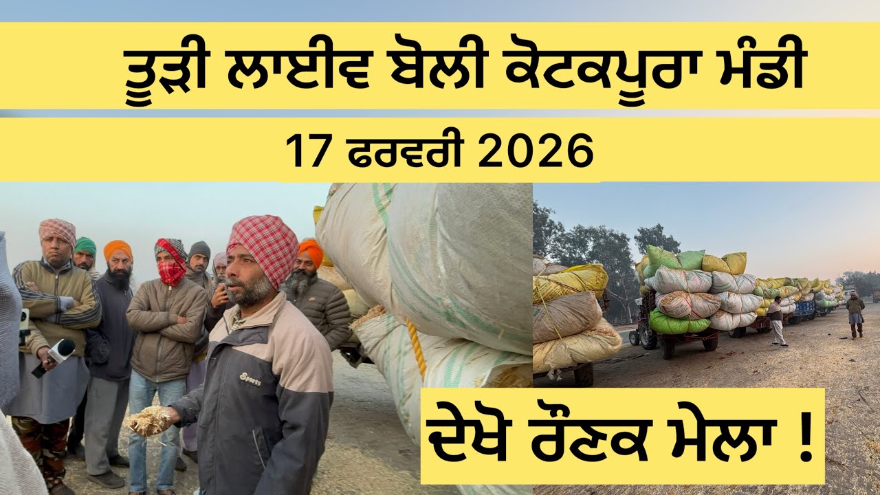 ਤੂੜੀ ਦੀ ਬੋਲੀ 17 ਫਰਵਰੀ 2026 | ਅੱਜ ਦਾ ਤੋੜੀ ਰੇਟ 🤑| kotkpura         #TodiRate #Kotkapura #farmernewser